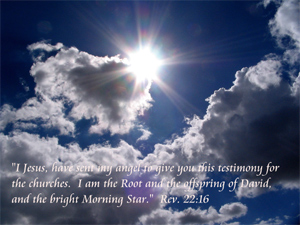 Bright and Morning Star (Flickr)
