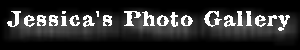Jessica's Photo Gallery