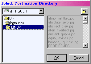 Copy To New Location & Move Selected File Dialog Box